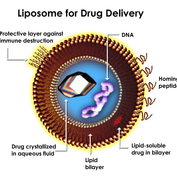Cyclosome Delivery Revolutionizing the Pro-Hormone Industry
