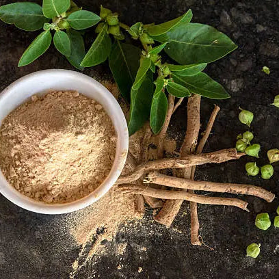 Ashwagandha Supplement ground up to show what it is made up of 