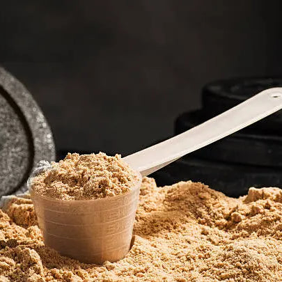 A scoop of protein powder on a pile of protein powder with weights around it