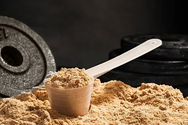 A scoop of protein powder on a pile of protein powder with weights around it