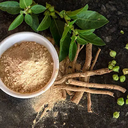 Ashwagandha Supplement what it is made up of 