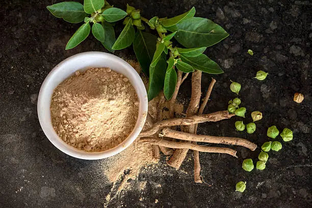 Ashwagandha Supplement what it is made up of 